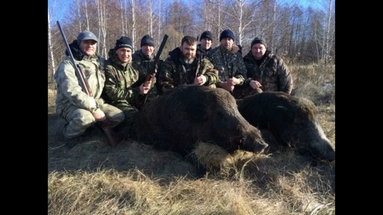 Тамбовские охотхозяйства