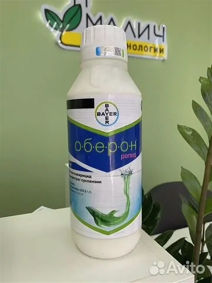 Оберон рапид для комнатных. Оберон рапид для комнатных