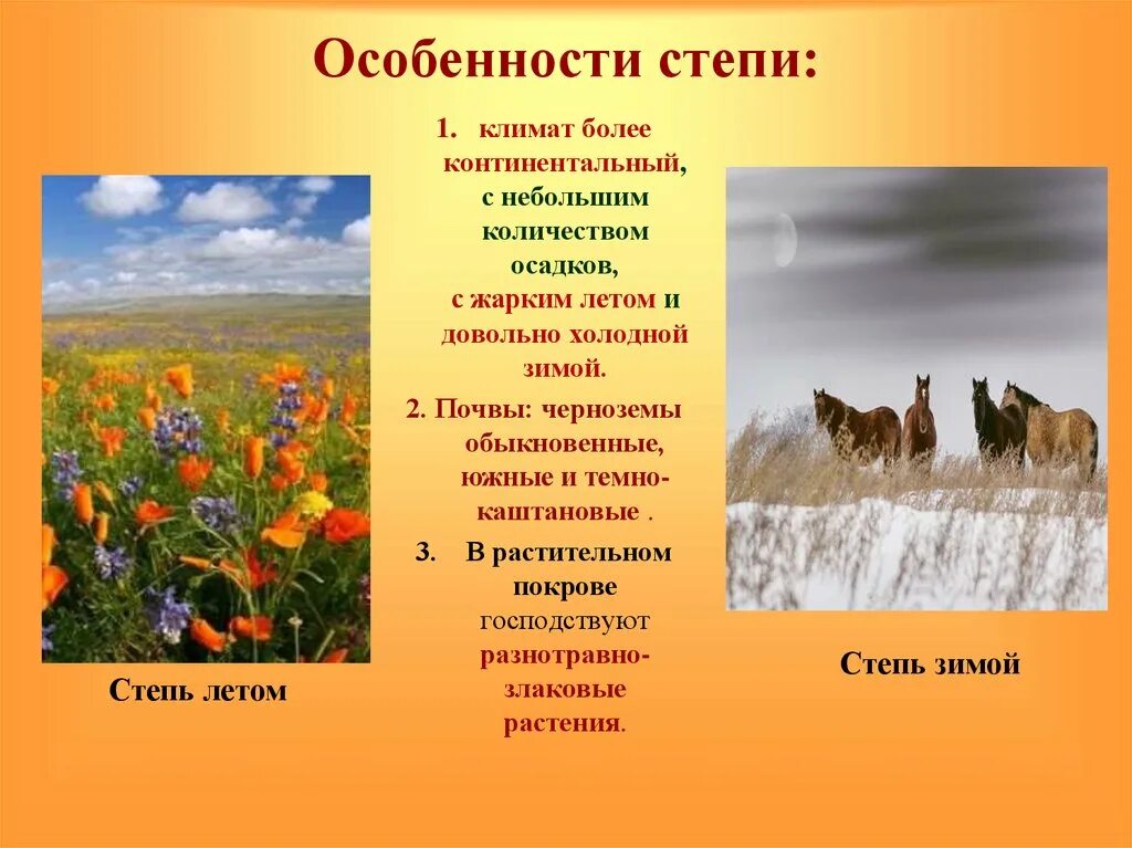 Природные зоны доклад 6 класс. Климат степи. Климат Степной зоны. Особенности степи. Особенности климата степи.