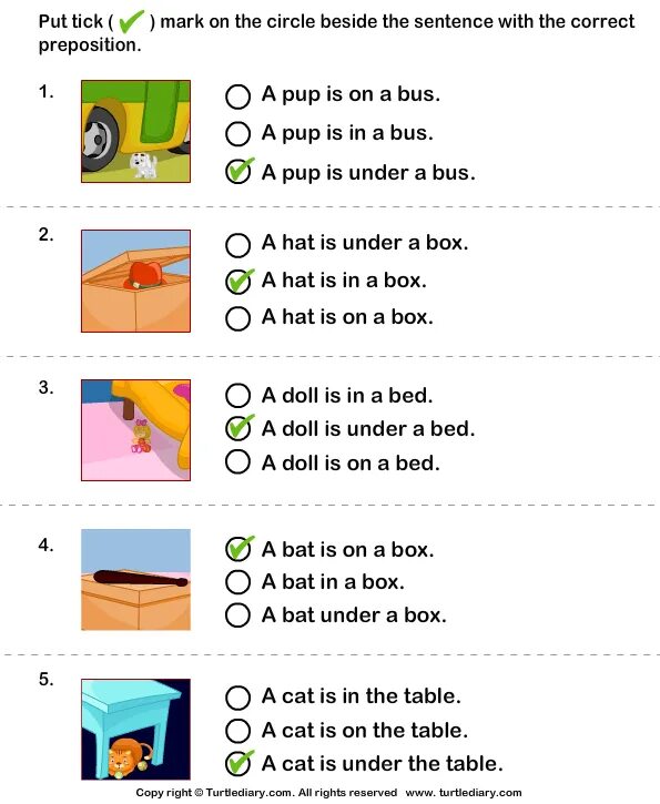 Tick the correct answers