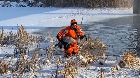 Помощь в декабре