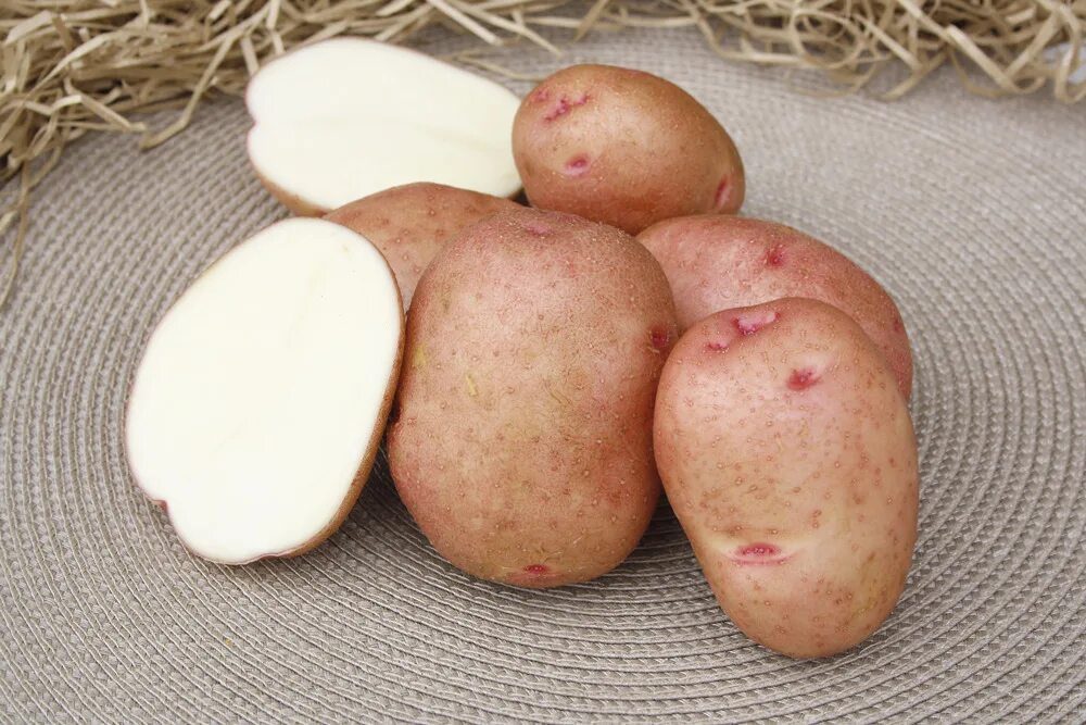 Где купить семенную. Картофель Лорх. Семенной картофель Лорх. Картофель семенной СЕДЕК. Картофель семенной Гранд супер элита.
