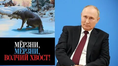 Хвост сказал
