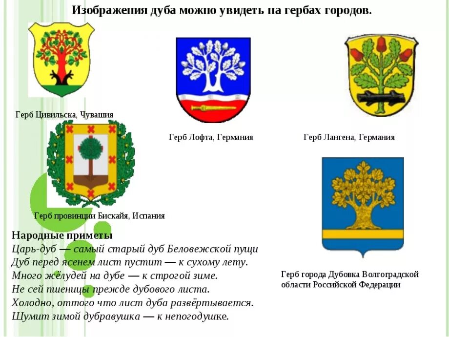 Какое растение изображают на гербах. Растения на гербах городов России. Изображения растений на гербах городов. Гербы с изображением растений. Растения в геральдике.