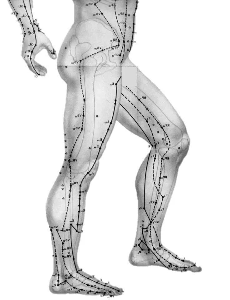 Точки акупунктуры меридианов стопы. Атлас меридианов акупунктуры. Меридианы на ногах. Точки и меридианы на ногах.