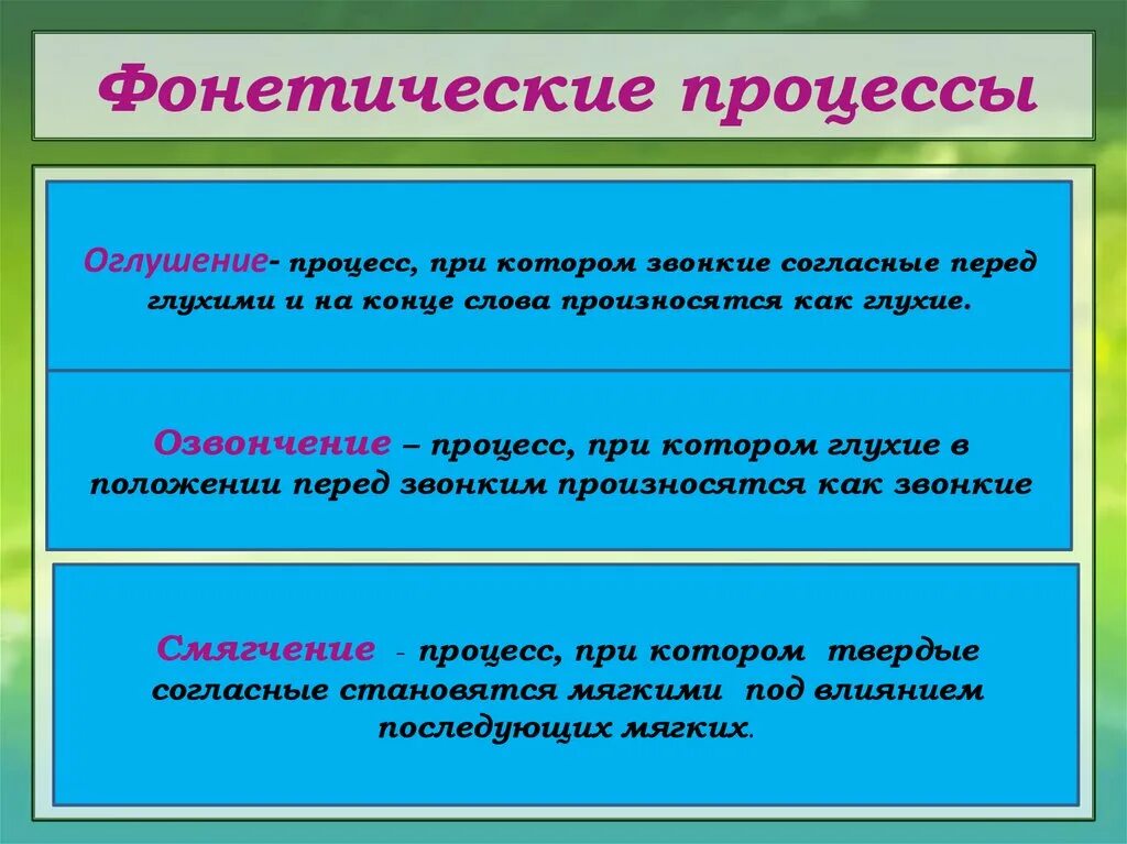 Какие фонетические явления. Фонетические процессы. Фонетические процессы примеры. Фонетические явления в русском языке. Фонетические процессы в русском языке.