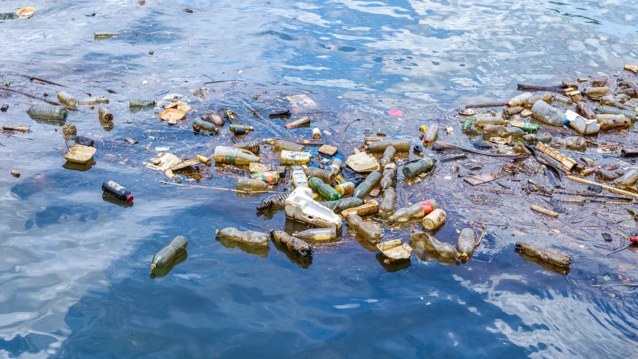 Rains waste. Загрязнение воды отходами. Сточные воды загрязнение. Загрязнение воды мусором. Отходы в воде.