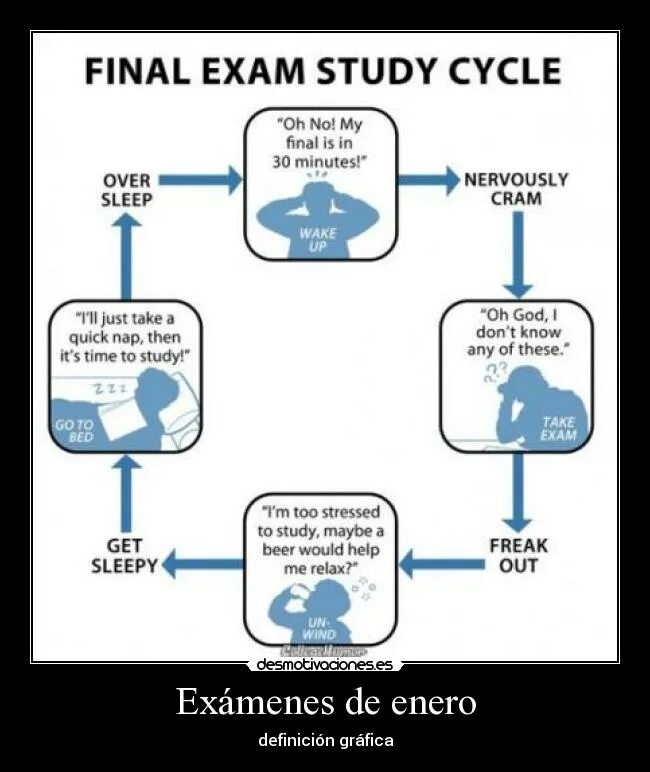 I got my exam. Study exam. study cycle. final exam. how to prepare for exams.