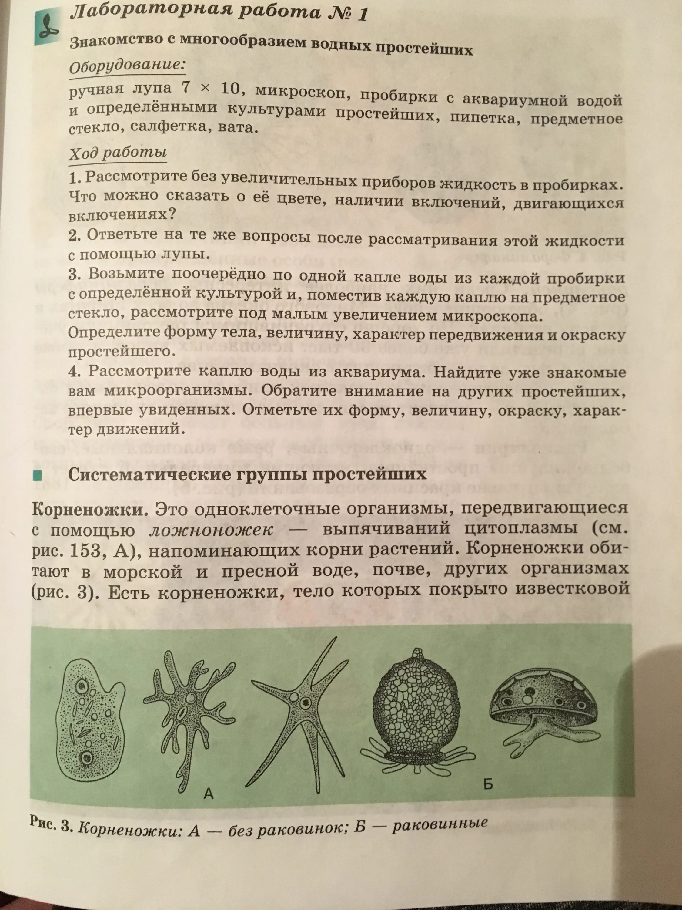 Таблица изучение многообразия свободноживущих водных простейших. Лабораторная работа по биологии многообразие водных простейших. Многообразие свободноживущих водных простейших лабораторная. Лабораторная работа по биологии как найти простейших в водной среде. Лучшие или простые ответы