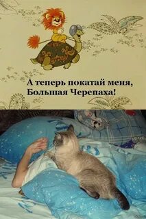 Покатай меня