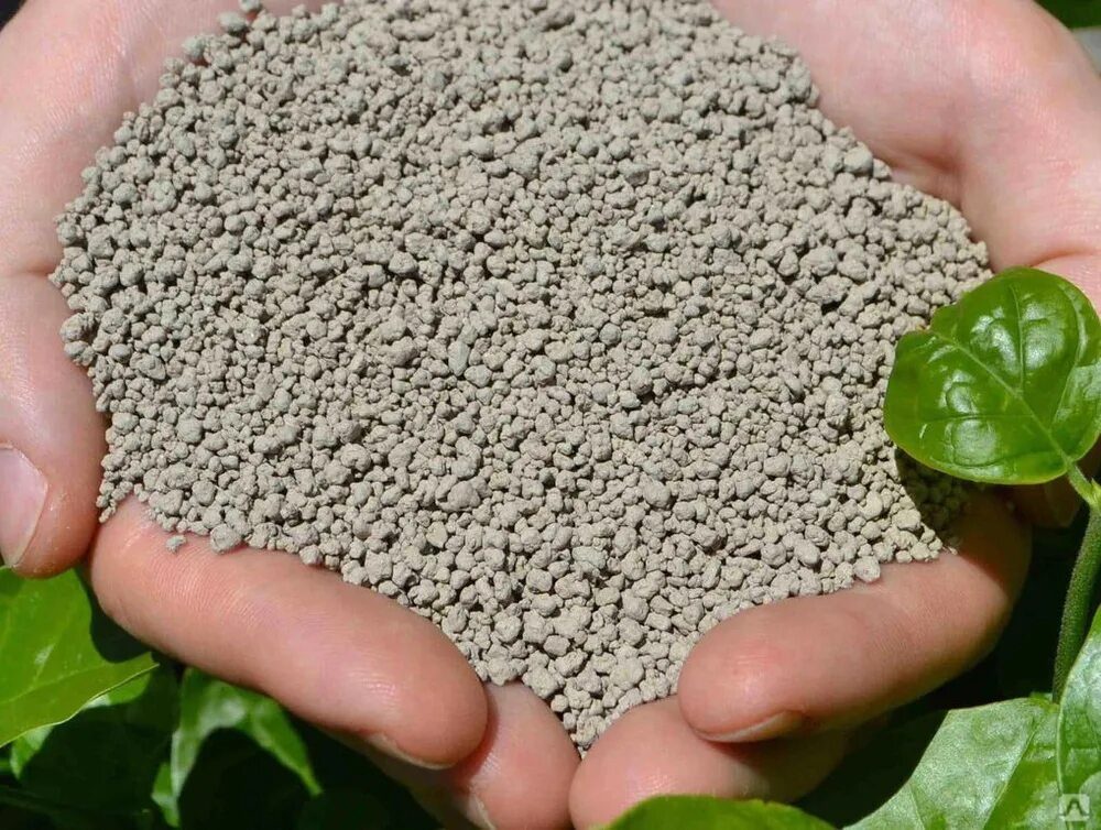 Диатомит. Кизельгур диатомитовый порошок. Диатомит горная порода. Диатомит. Диатомит кизельгур.