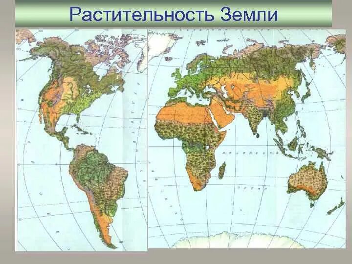 Растительный мир земли. Растительные зоны земли. Растительность земного шара карта. Закономерность размещения растительного покрова на земном шаре