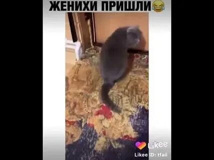 Жениху прислали