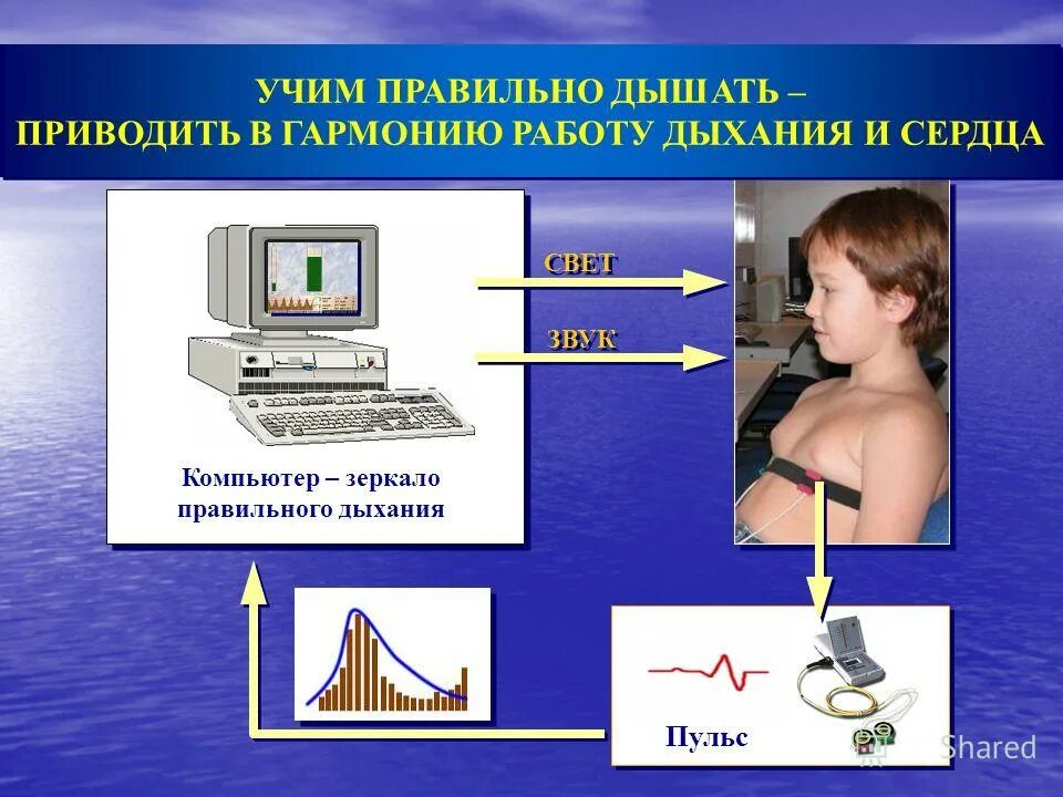 Комплекс аппаратно-программный "капфс-бос-биосвязь". Комплекс аппаратно-программный соматометрический медик. Бос тест. Программно-аппаратный комплекс sketchpad. Психофизиологическое обследование.