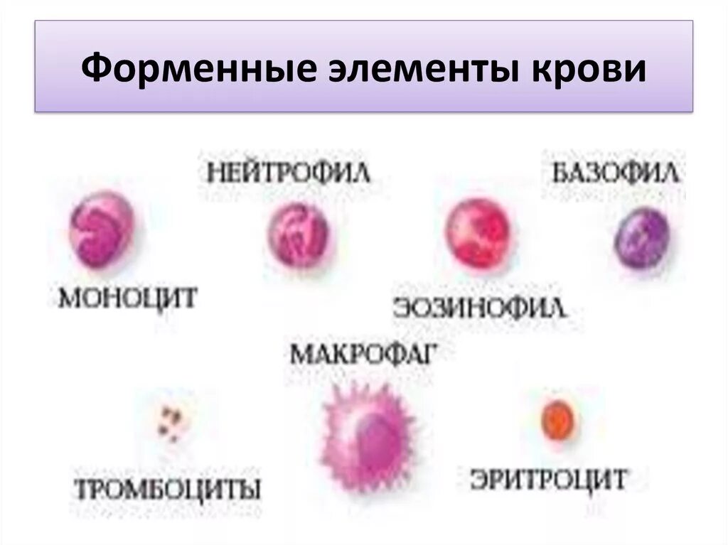 Кровь (Страницы 74,75,76)