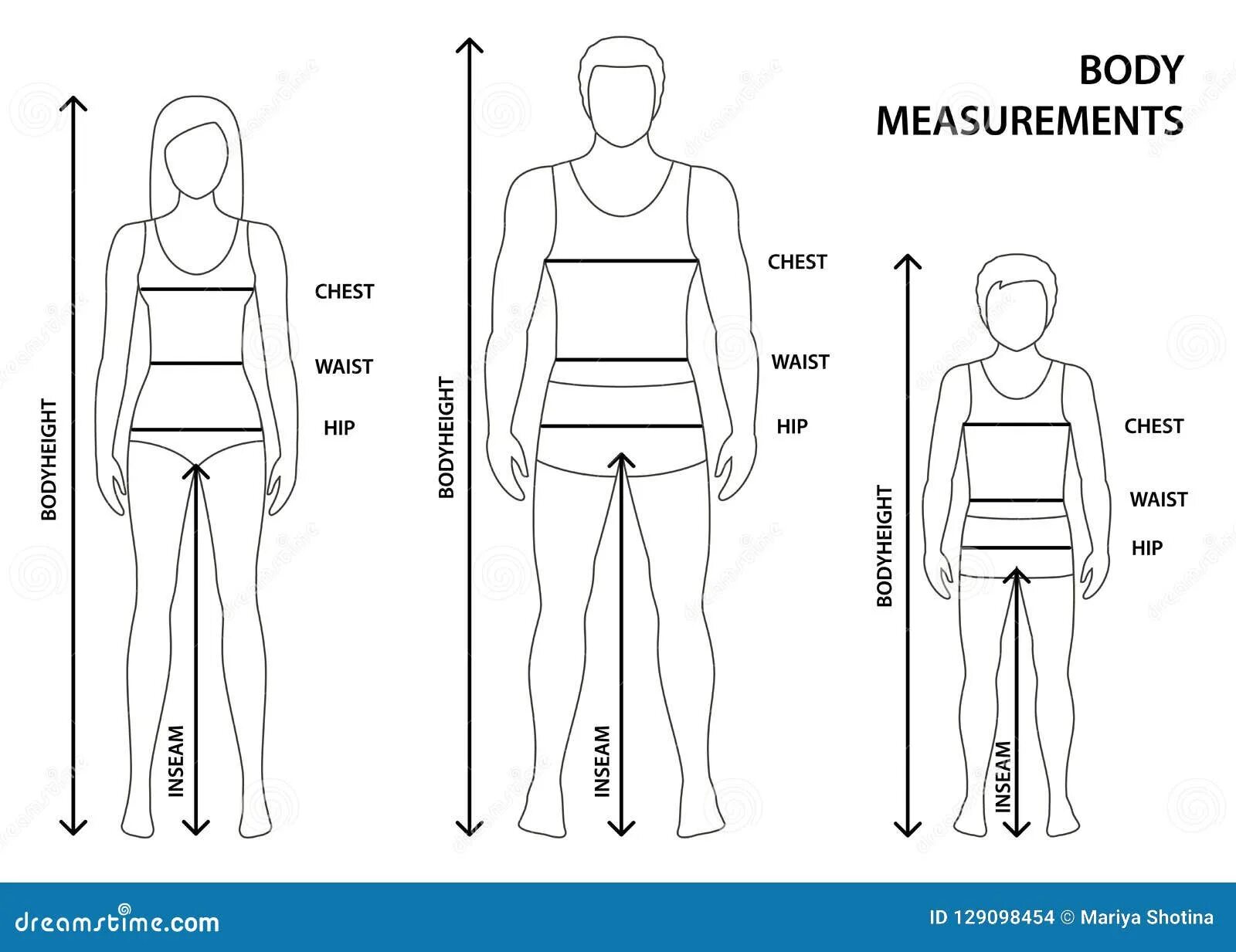 Hip размер. Размер тела анкета мужчина. Замеры человека. Методы измерения тела человека. Измерение тела человека приложение.