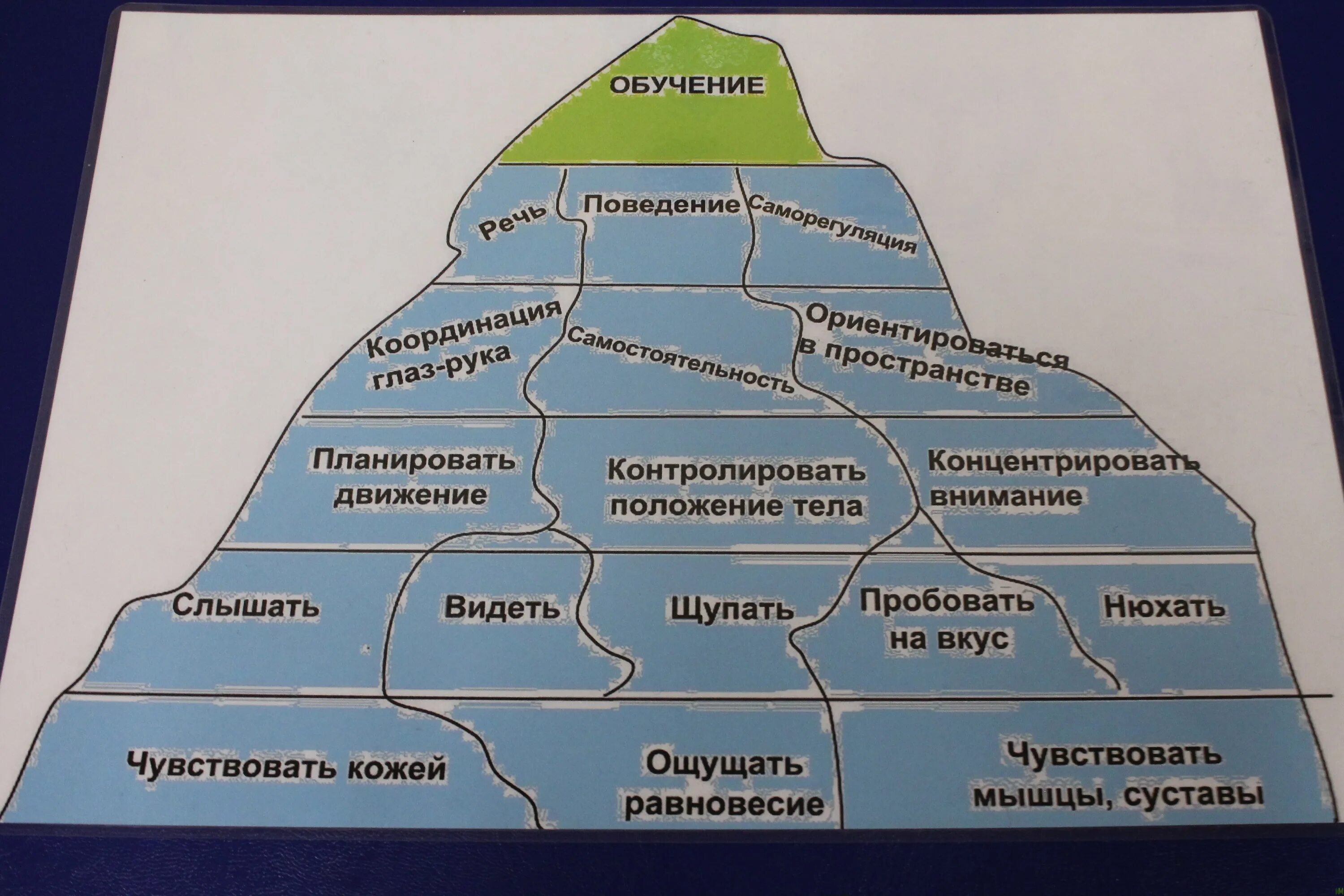 Обеспечивает высшие психические функции