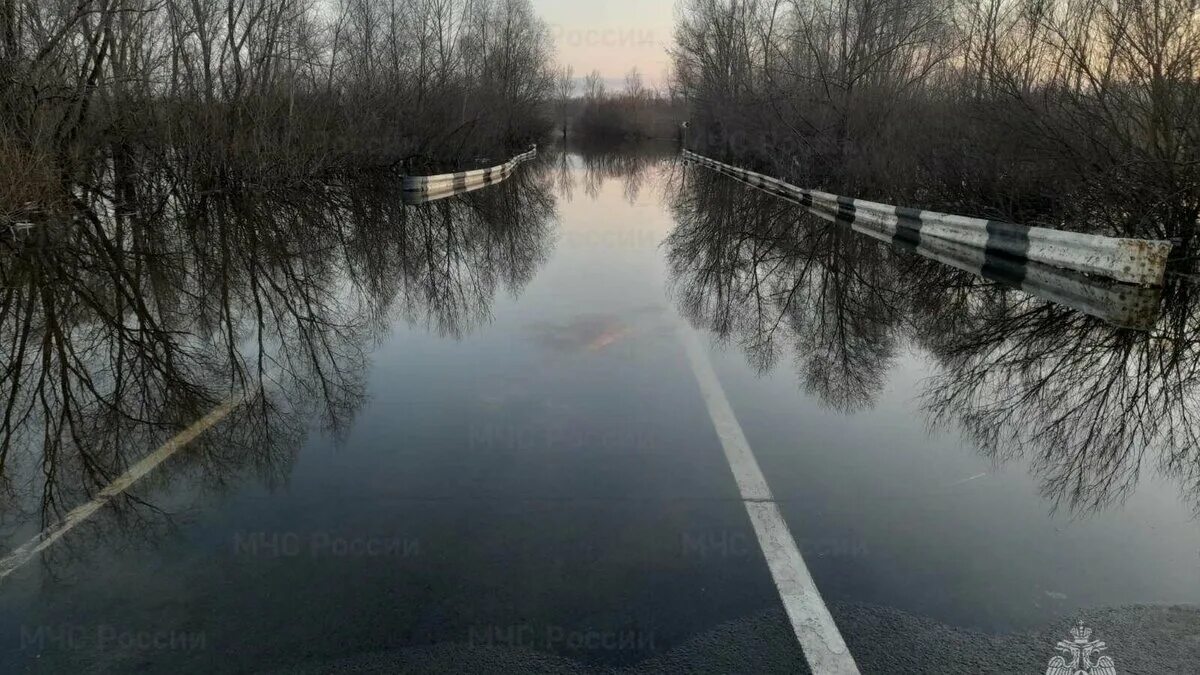 Мост в Павлово на Тумботино. Паводок. Половодье в России. Затопленная дорога. Половодье на оке 2024 прогноз