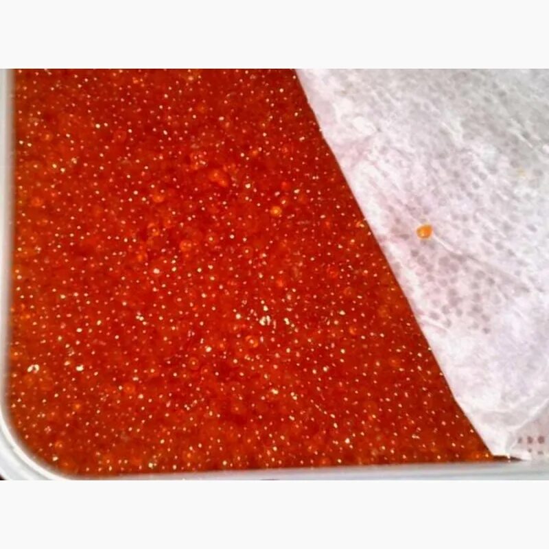 Какая икра вкусней горбуша нерка или кета. Кета горбуша нерка икра. икра нерка кета кижуч. кижуч нерка горбуша икра. нерка, кета , горбуша и кижуч икра.