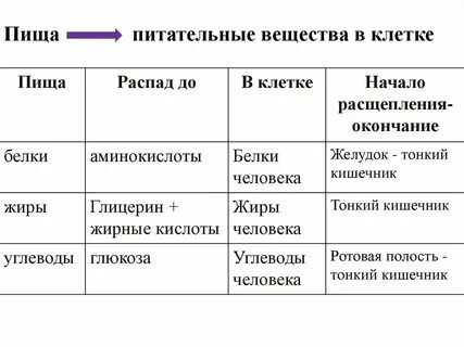 Какие питательные вещества