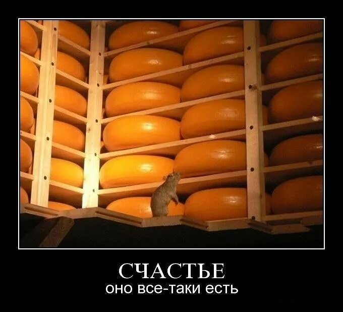 Счастье есть желательно большой ложкой надпись. Жизнь удалась икра. Счастья много не бывает поэтому я такая маленькая. Прикольные высказывания о счастье. Много много счастья.