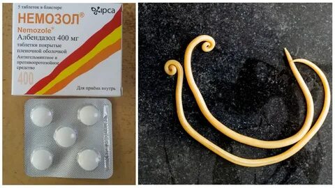 Против аскаридоза