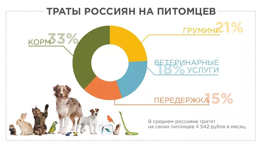 Какие домашние животные добавлены в личном кабинете. Статистика домашних животных в России. Статистика по домашним животным. Домашние животные статистика. Траты на домашнего животного.