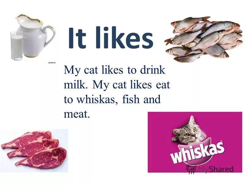My cat are like. Презентация so many countries so many customs. My cat is black my cat is fat. A cat likes milk. Poems about cats.