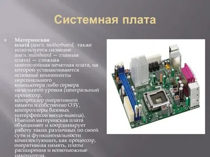 Натуральная плата это