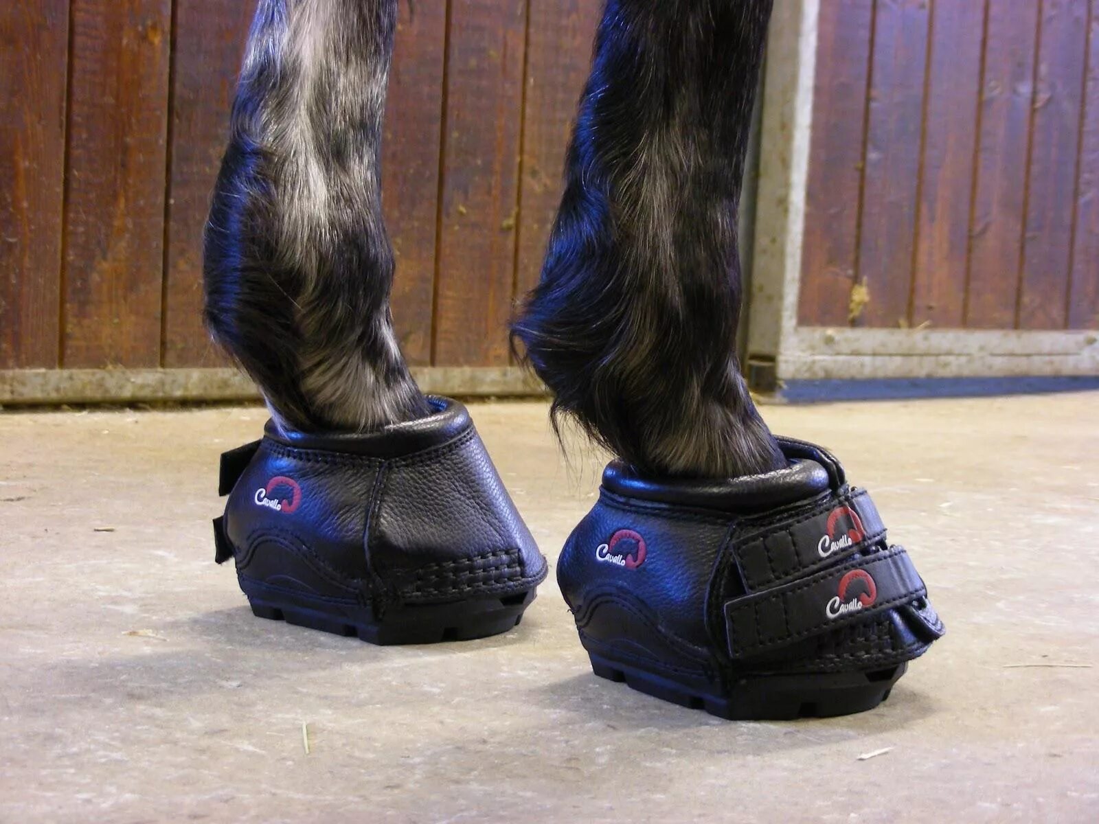 Horse hooves boots for men. Сапоги копыта на каблуке. Horse shoes. Копыта обувь женские. Ботинки копыта.