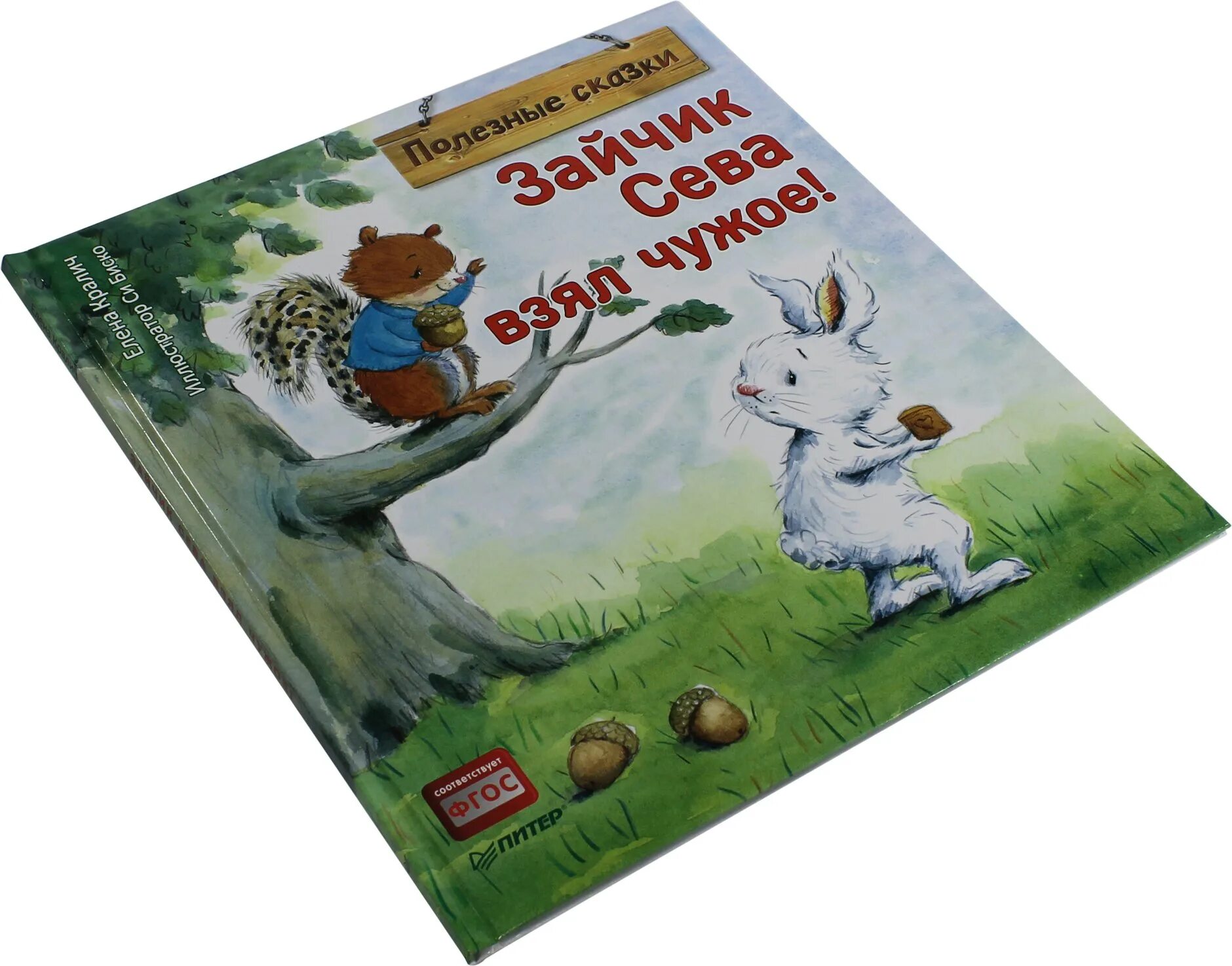 Книга про зайца. Заяц с книгой. Книга от одного зайца. Большая книга про зайку.