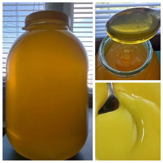 Мед подсолнух. Мёд подсолнечный разнотравие. Мёд подсолнечный засахаренный. Подсолнечниковый мёд.