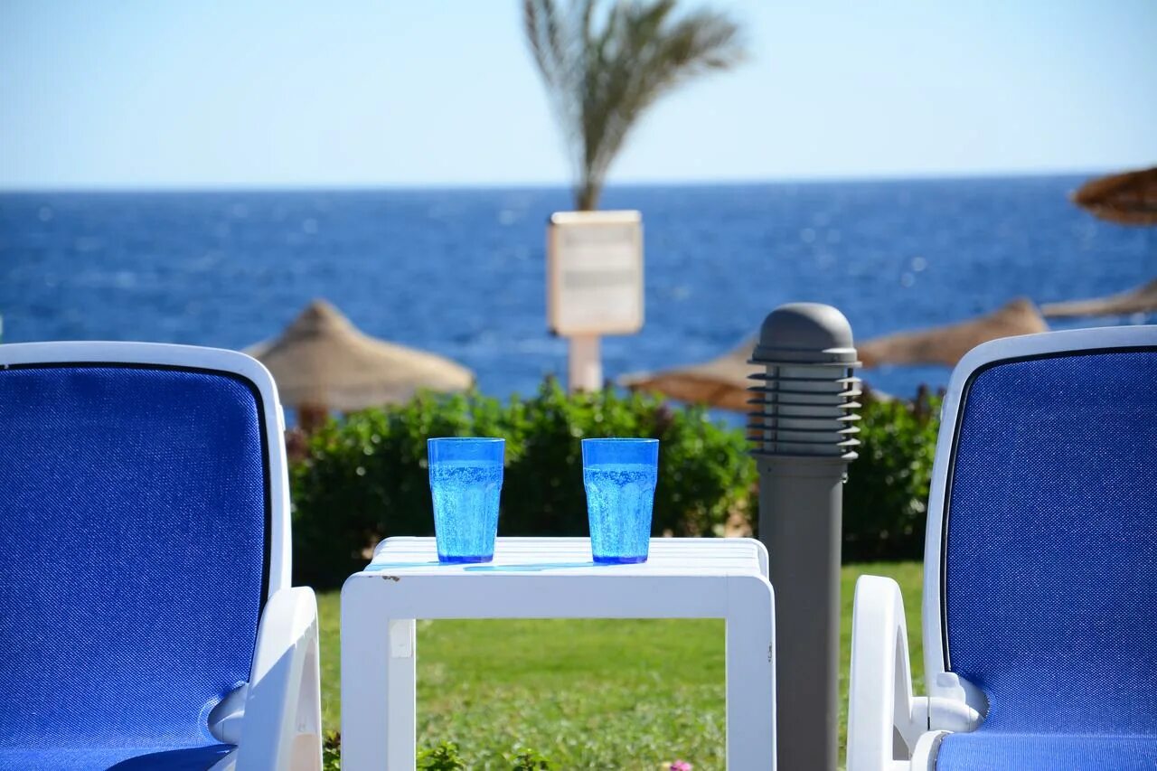 Monte carlo sharm resort отзывы. Монте карло шарм-эль-шейх резорт 2025. royal monte carlo resort spa sharm ресторан. монте карло шарм еда. карта отеля монте карло шарм.