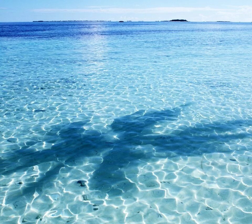 Прозрачное море. Прозрачная вода море. Голубое прозрачное море. Чистое голубое море. Голубая вода сегодня