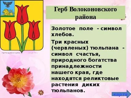 Тюльпан символизирует