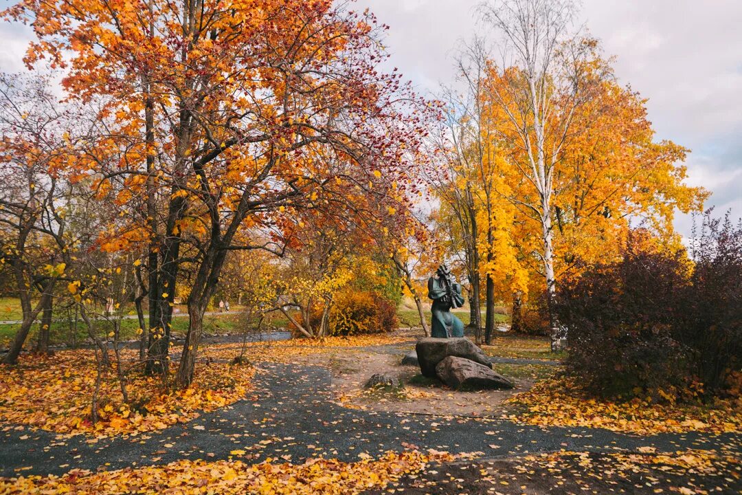Осенняя мелодия / Карелия, Петрозаводск