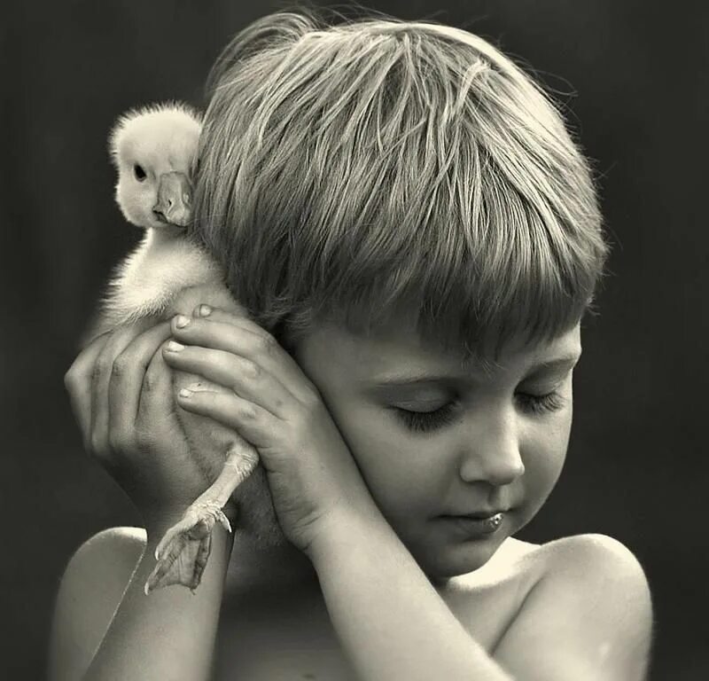 Child net