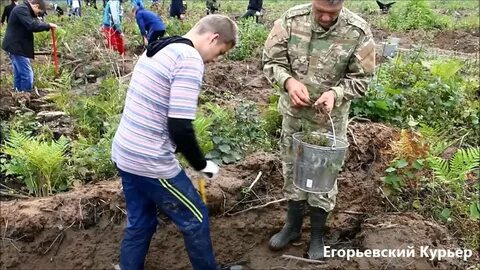 Погода тимшино егорьевский