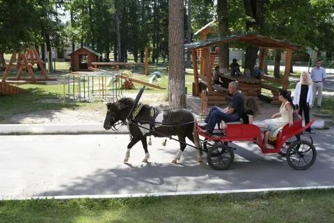 Санаторий снежка брянская область