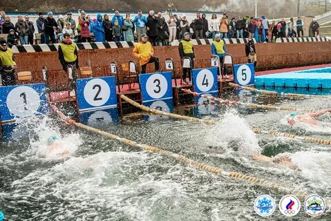 Кубок невы по плаванию 2024 март