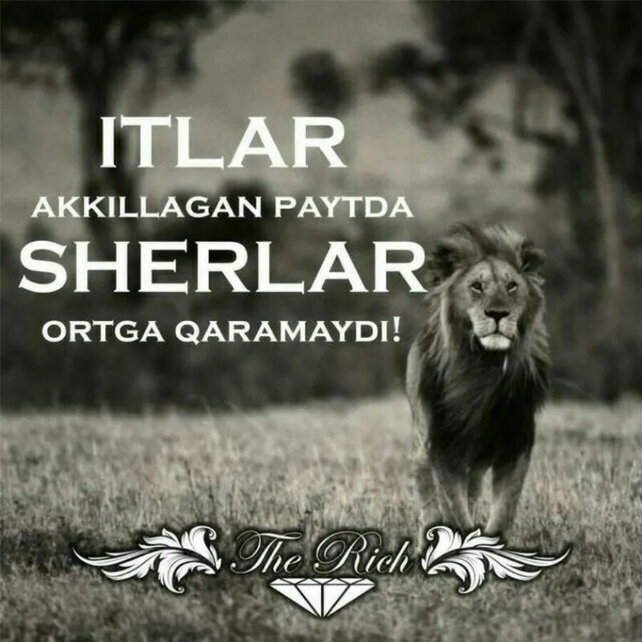 Dost sherlar