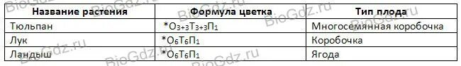 Название растения формула цветка тип плода. Заполни таблицу растения семейства лилейные. заполните таблицу растения семейства лилейные. биология 6 класс заполни таблицу растения семейства лилейные. заполните таблицу семейство лилейные.