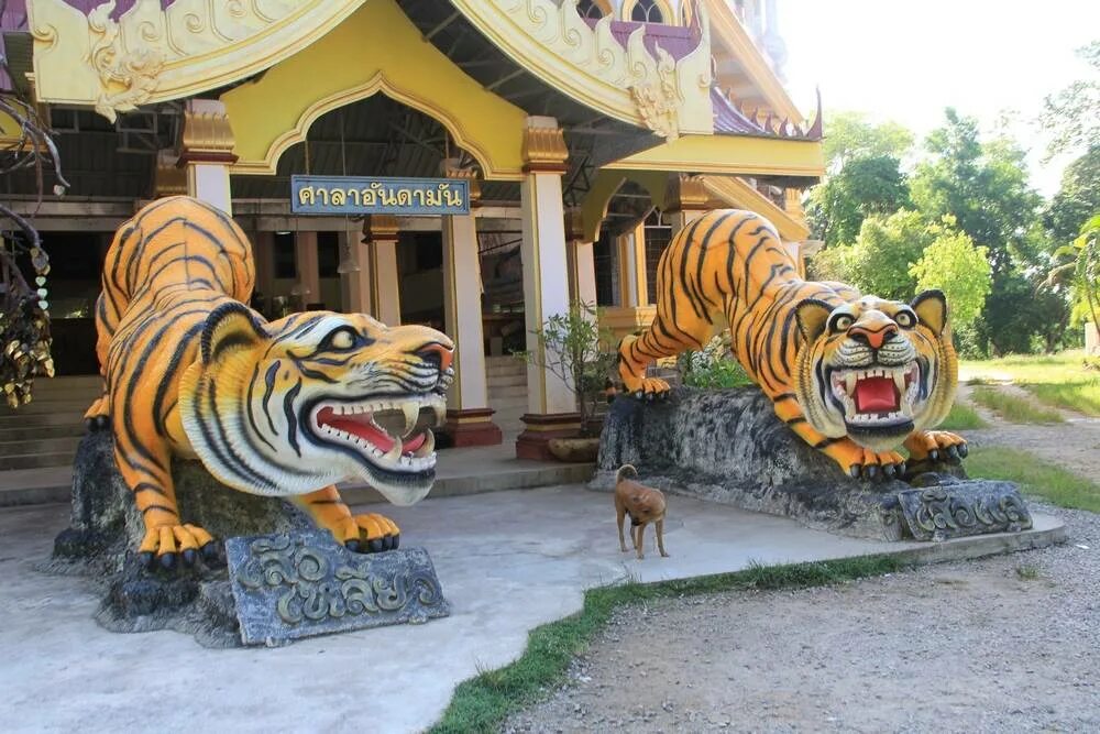 World of warcraft вершина кунь лай. Wow храм белого тигра. Храм белого тигра. Shado pan monastery. Статуи тигров тайланд.