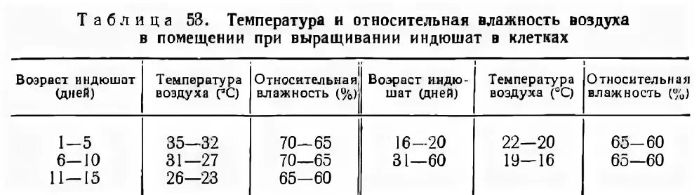 Температура в первые дни