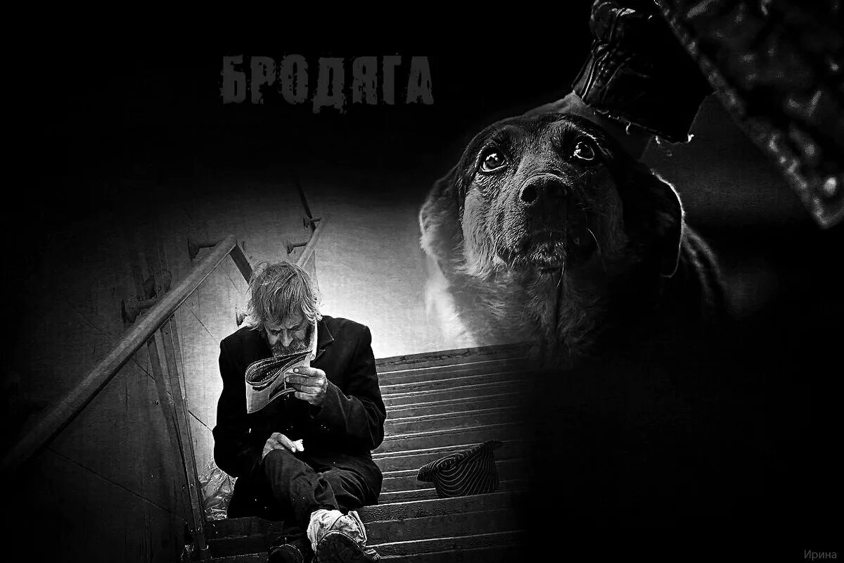 Бродяга плачет. Толстый фраер шуфутинский. Михаил шуфутинский - еврейский портной (love story. Удел бродяги. Бродяги.