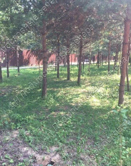 Районе деревни степановское. Степановское красногорский район. петрово дальнее в лесу. красногорский район деревня степановское участок 90,91.