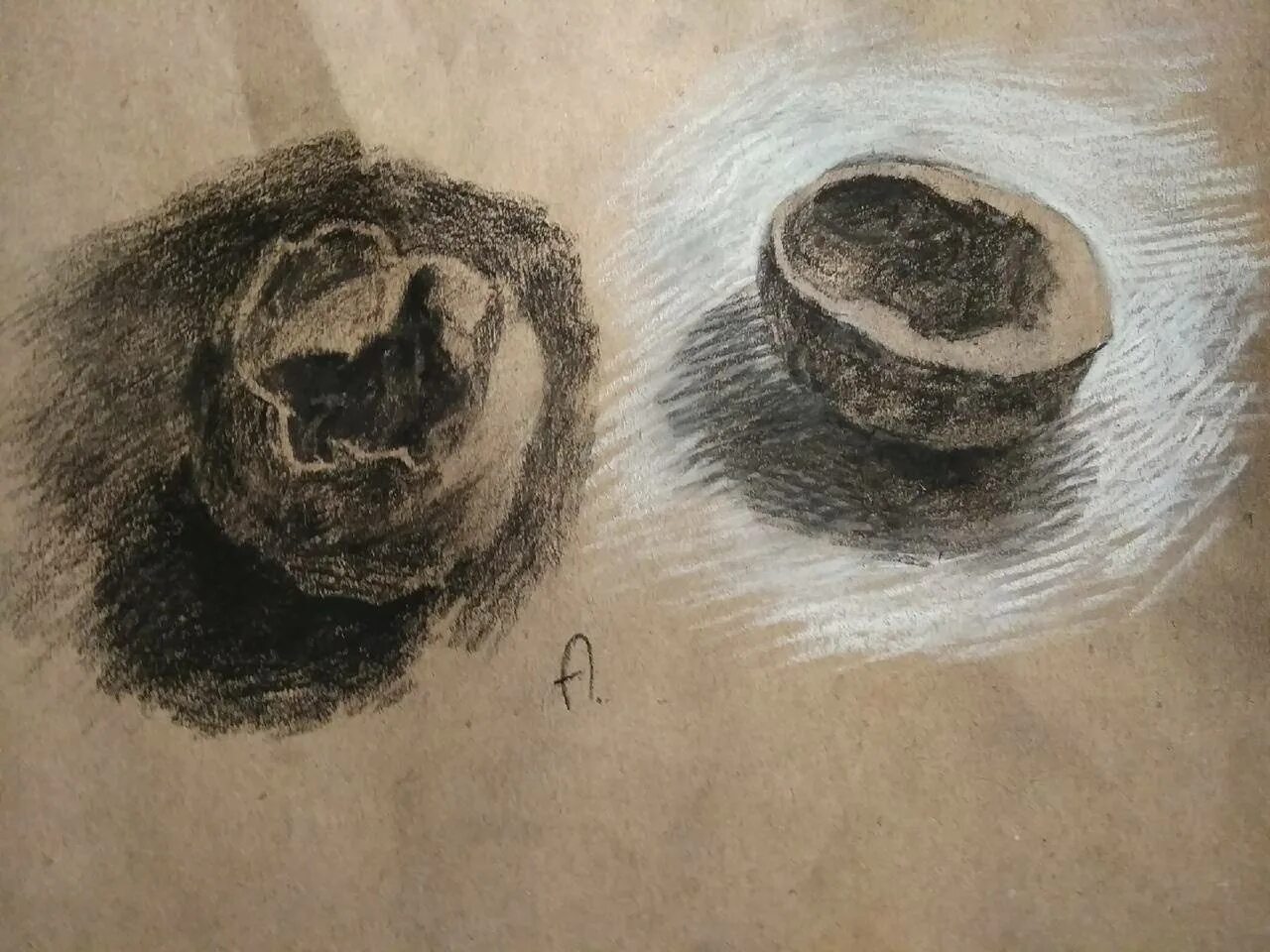 Рисунки выполненные углем