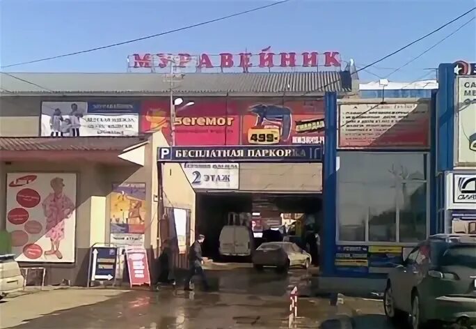 Муравейник пенза