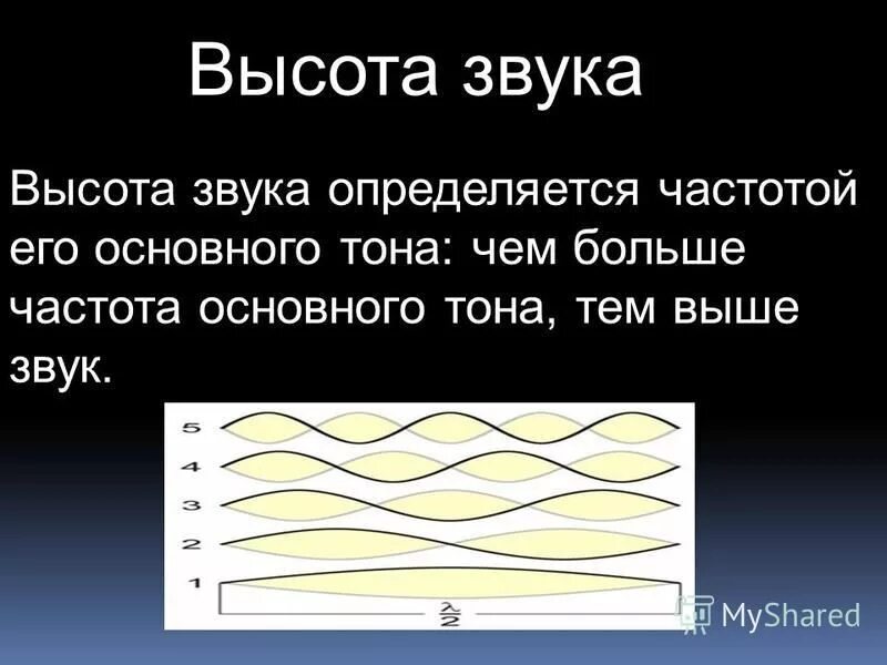 Источник высоты звука