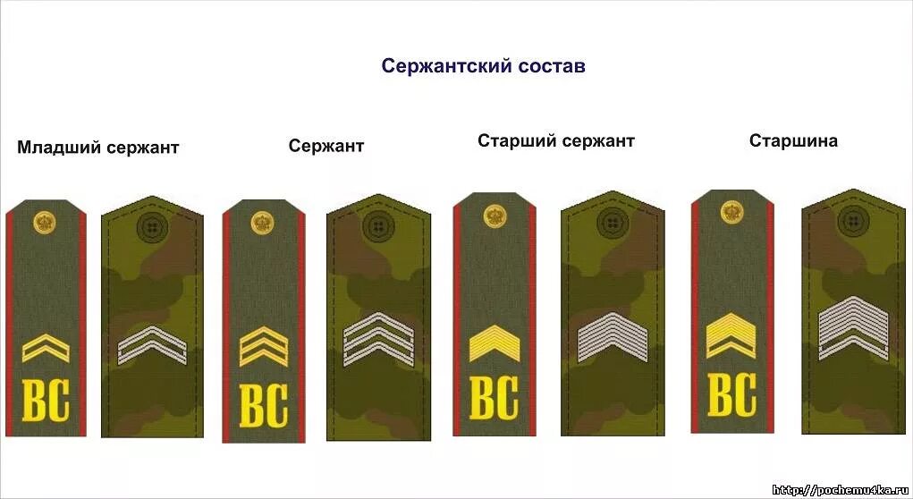 Погоны старшины Российской армии. Погоны сержанта Российской армии. Младший сержант в армии погоны. Старшина звание погоны в армии России.